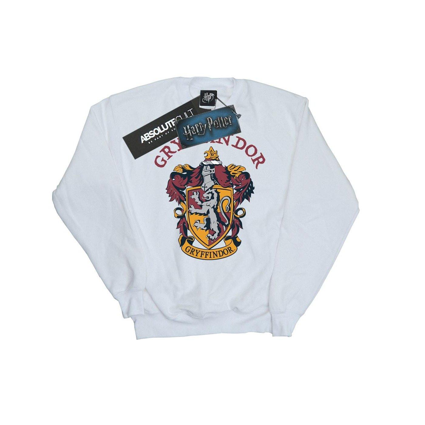 Harry Potter Sweatshirt