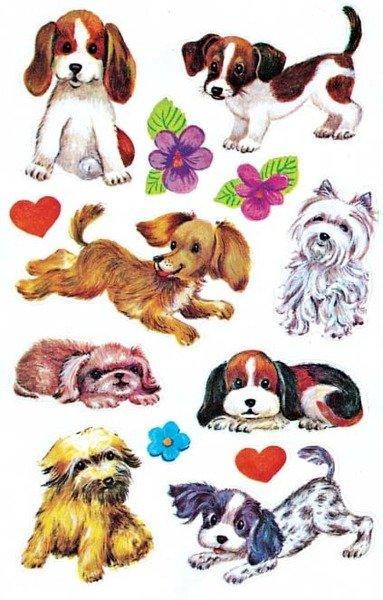 Z-DESIGN Z-DESIGN Sticker Kids 4340 Hunde 2 Stück