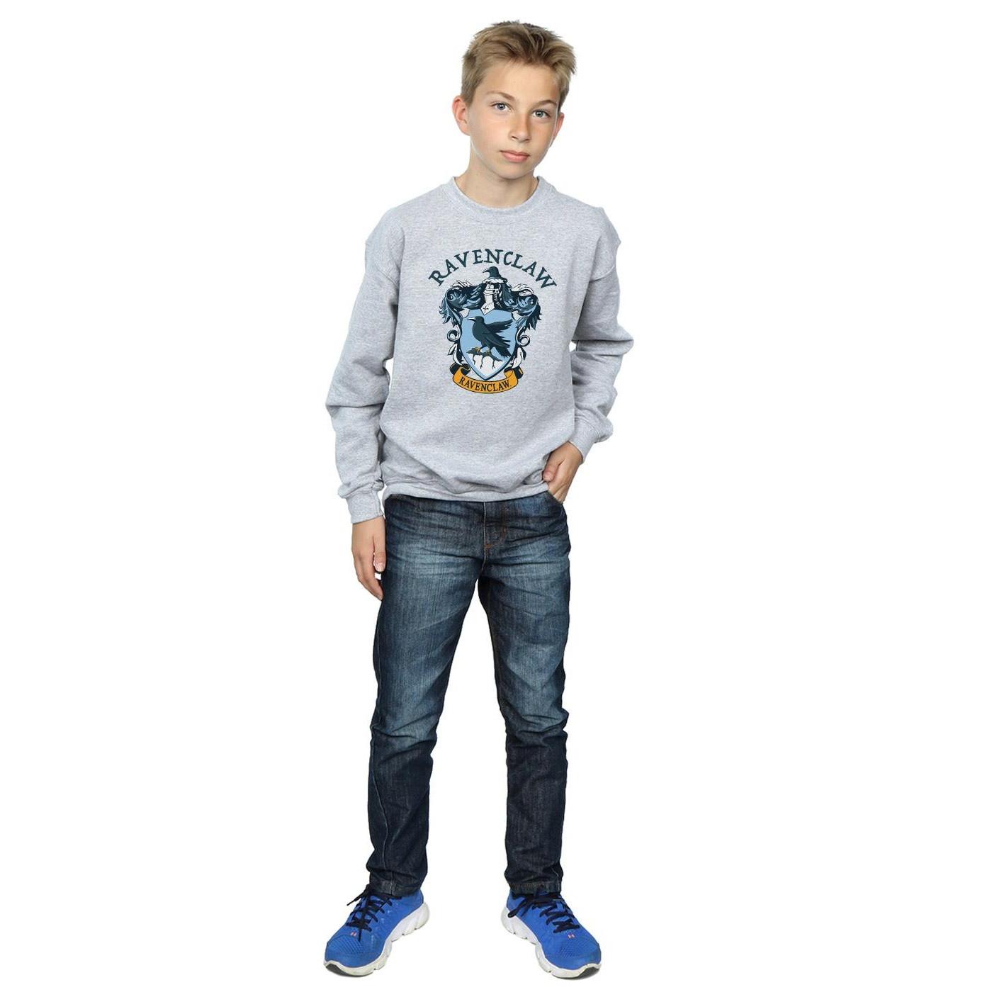 Harry Potter Sweatshirt