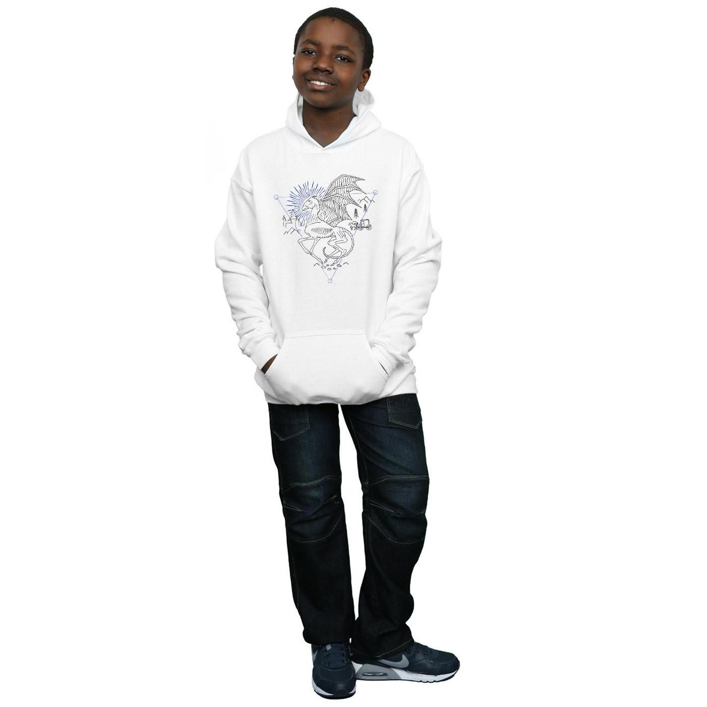 Harry Potter Kapuzenpullover