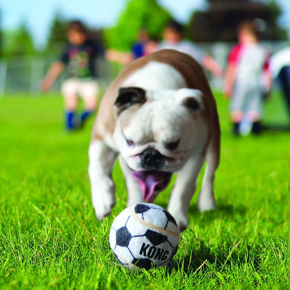 KONG KONG Sportbälle Medium (3er-Pack) (verschiedene Stile)