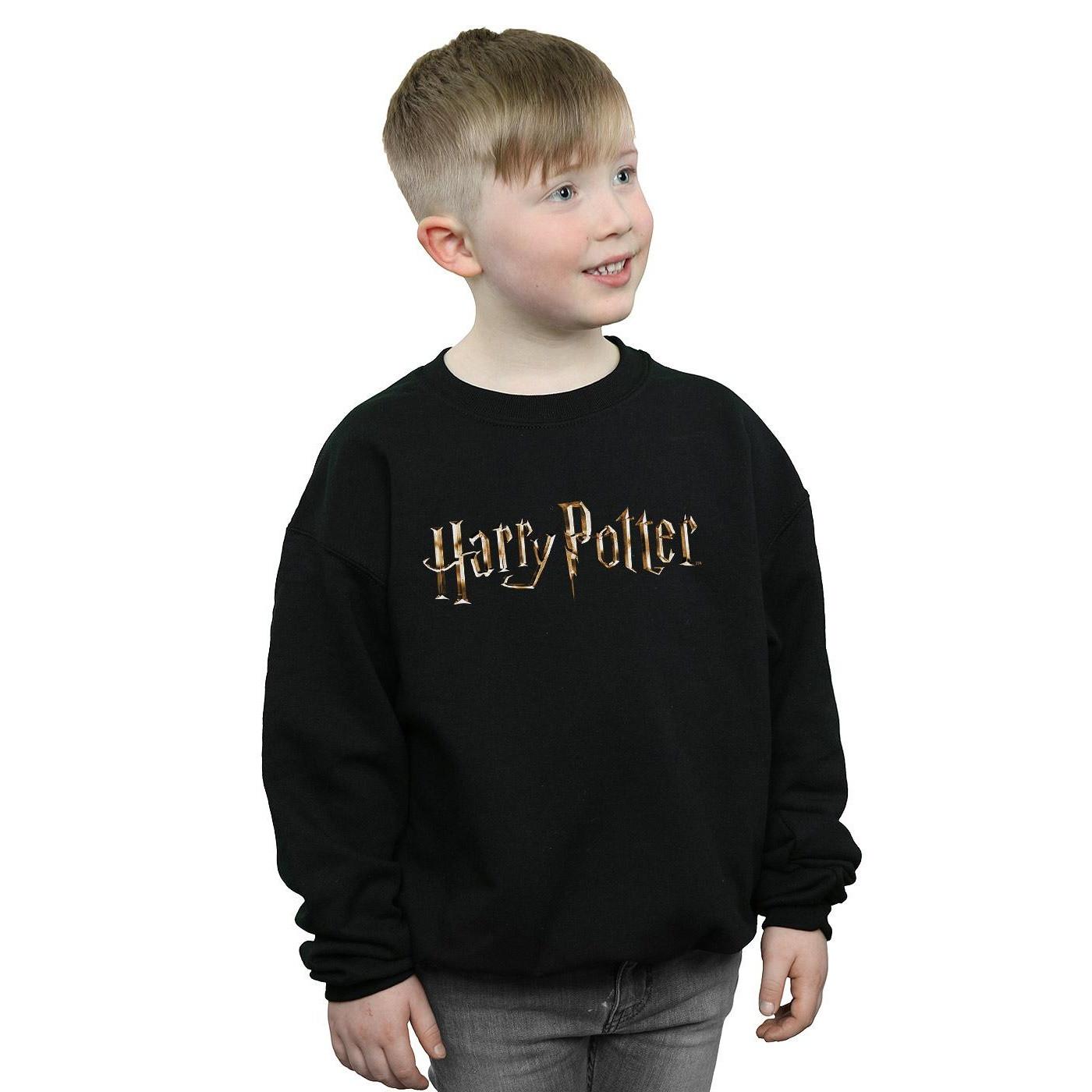 Harry Potter Sweatshirt