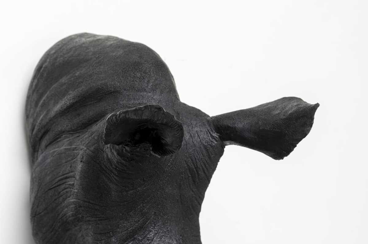 KARE Design Wandobjekt Rhino Head Antique schwarz