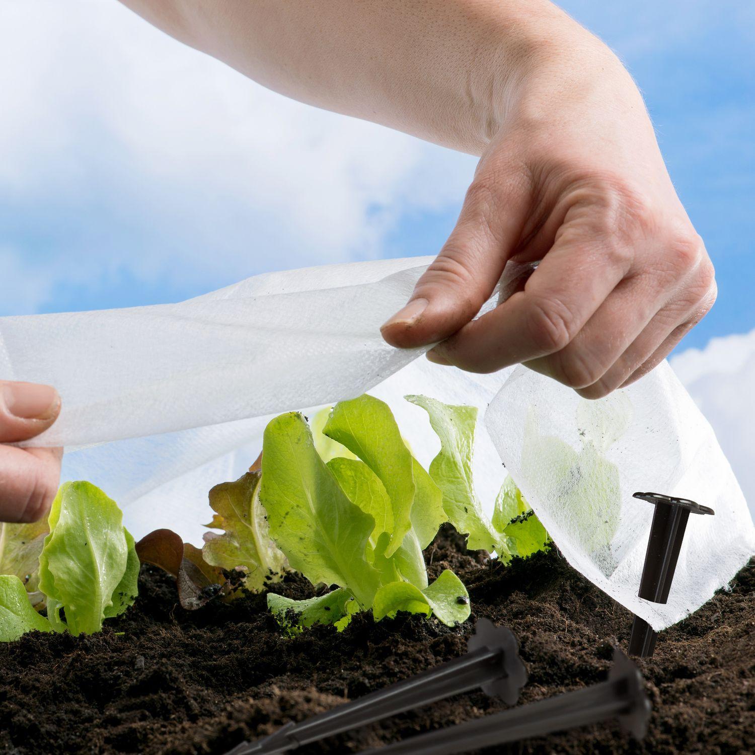 B2X Set mit 100 Kunststoffklammern