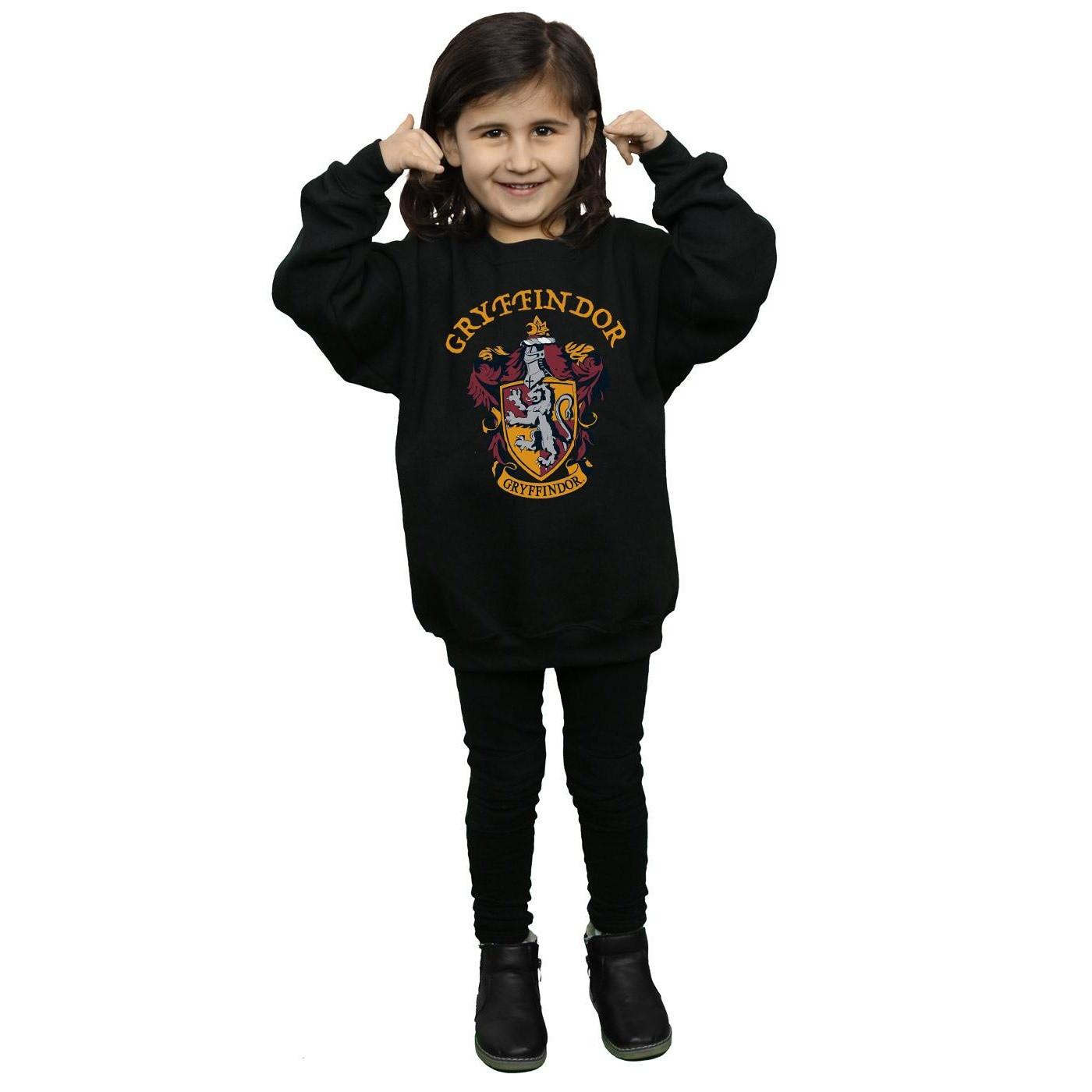 Harry Potter Sweatshirt