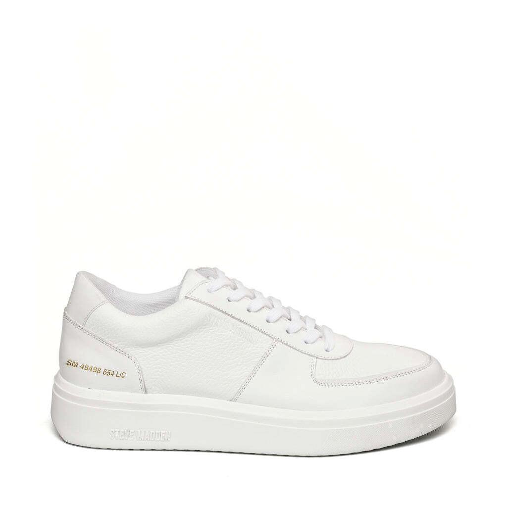 STEVE MADDEN sneakers flynn