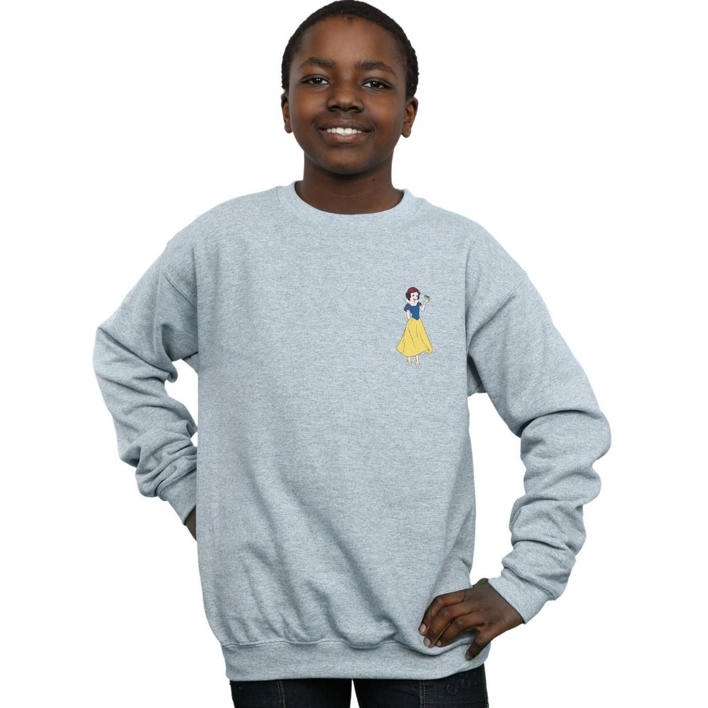 Disney PRINCESS Sweatshirt