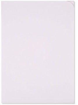 elco ELCO Sichthülle Ordo Discreta A4 29466.10 weiss, ohne Fenster 100 Stück