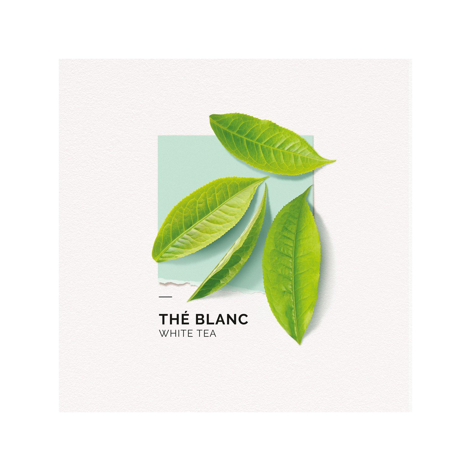 solinotes Thé blanc Mini Size Thé Blanc Eau de Parfum