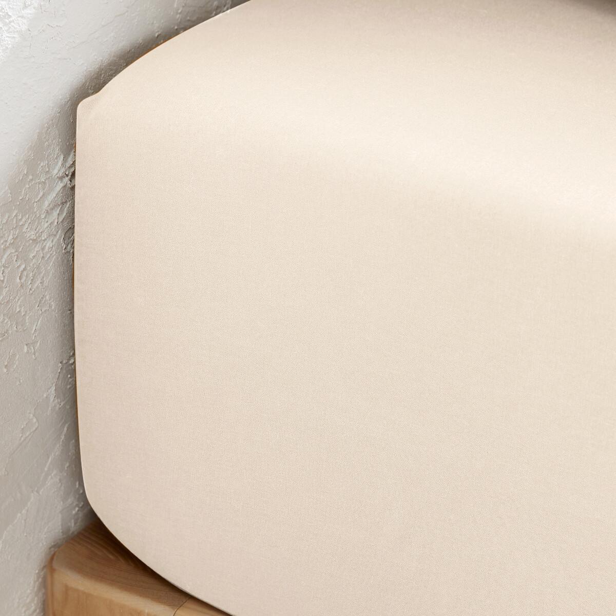 La Redoute Intérieurs Fixleintuch Scenario aus vorgewaschener Baumwolle