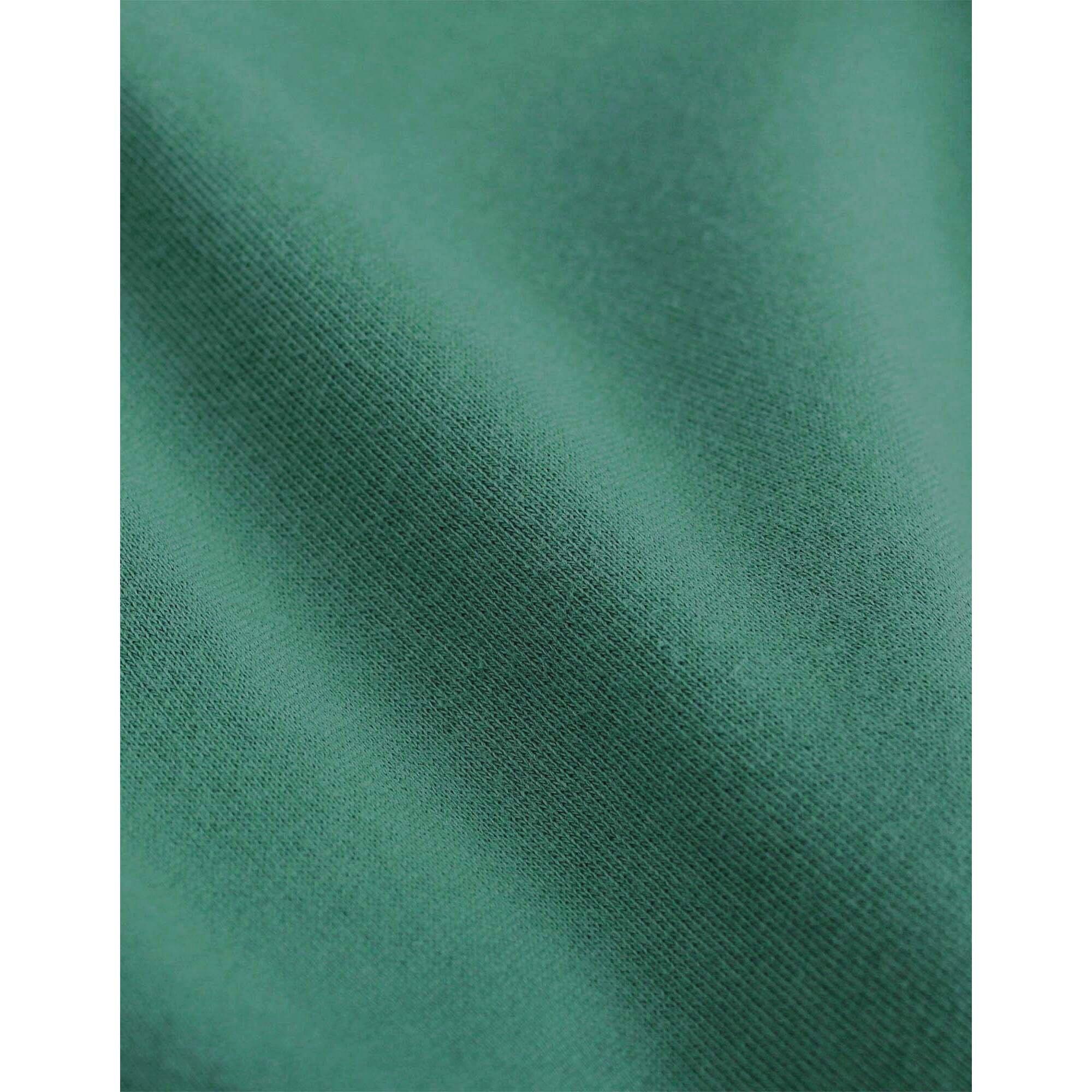 Colorful Standard Kapuzenpullover Classic Organic Pine Green