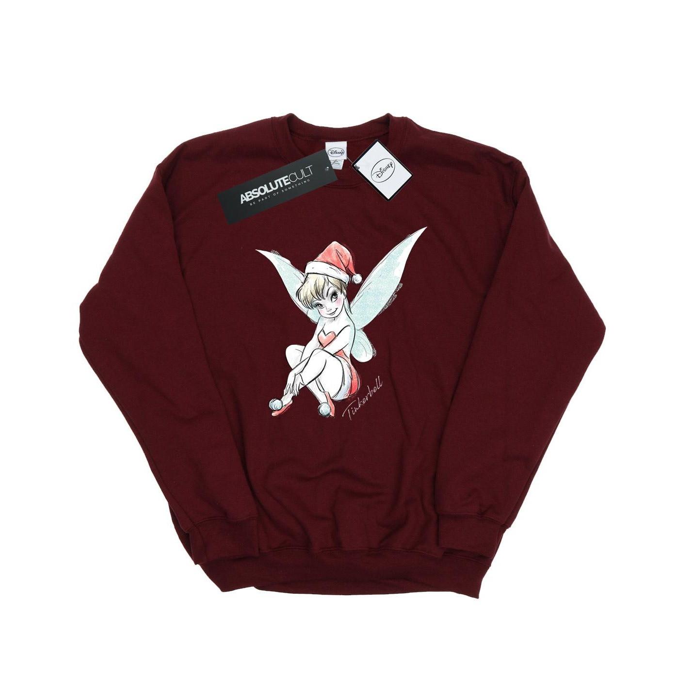 Disney Fairy Sweatshirt