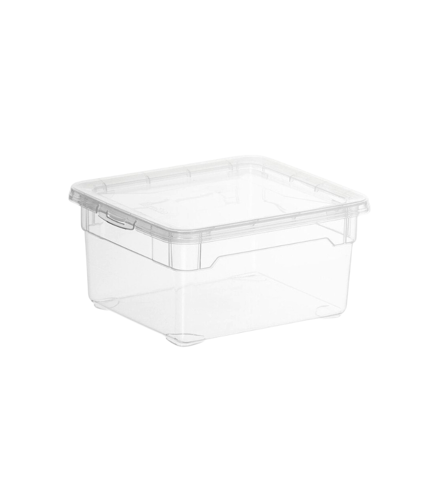rotho Aufbewahrungsbox CLEAR 2L