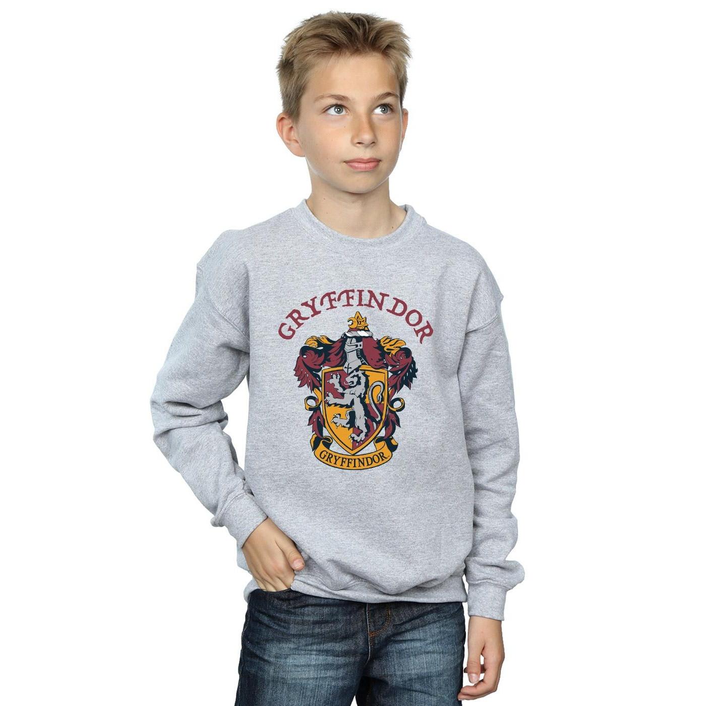 Harry Potter Sweatshirt