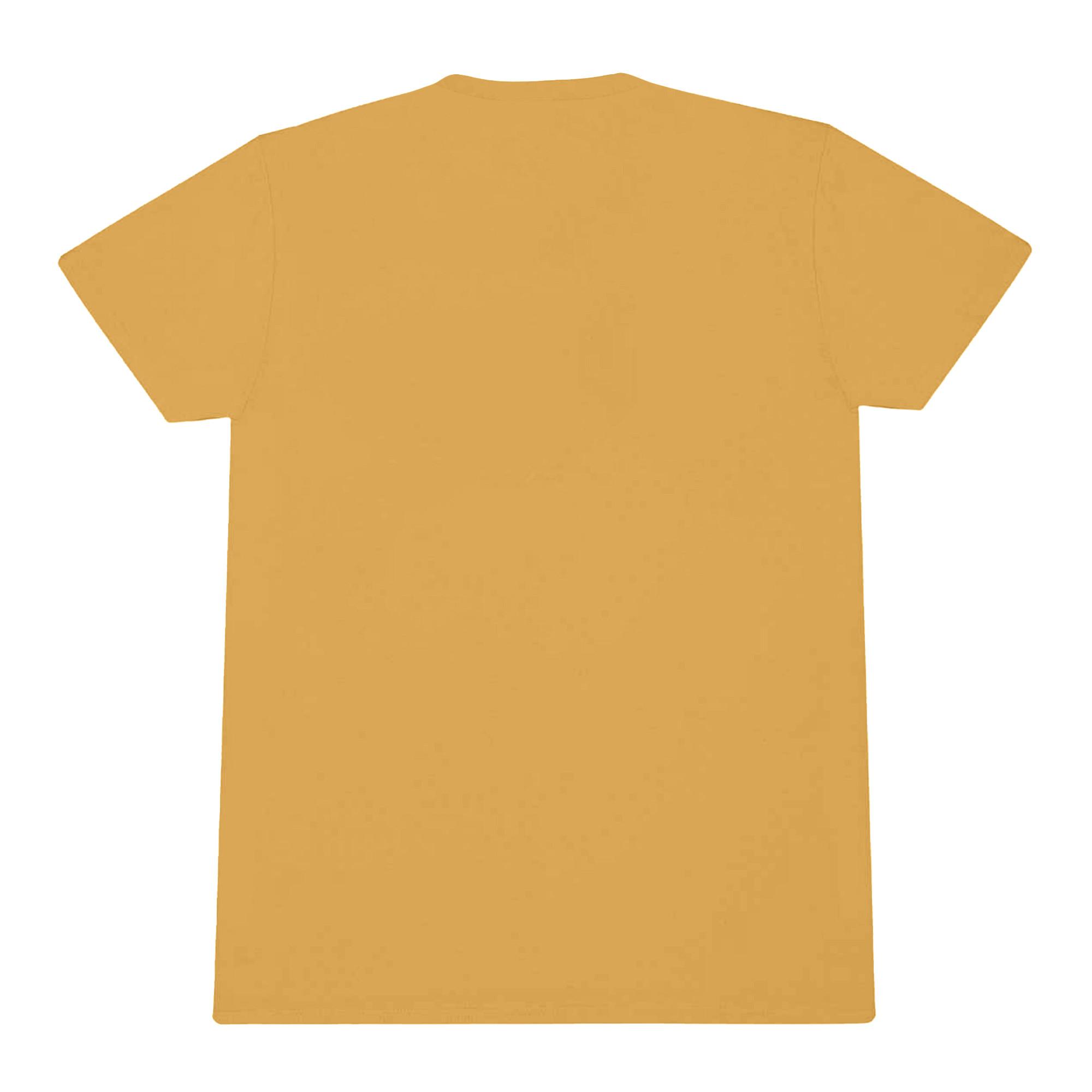 Alice In Chains Alice in Chains Seattle 1987 Grafik T-Shirt