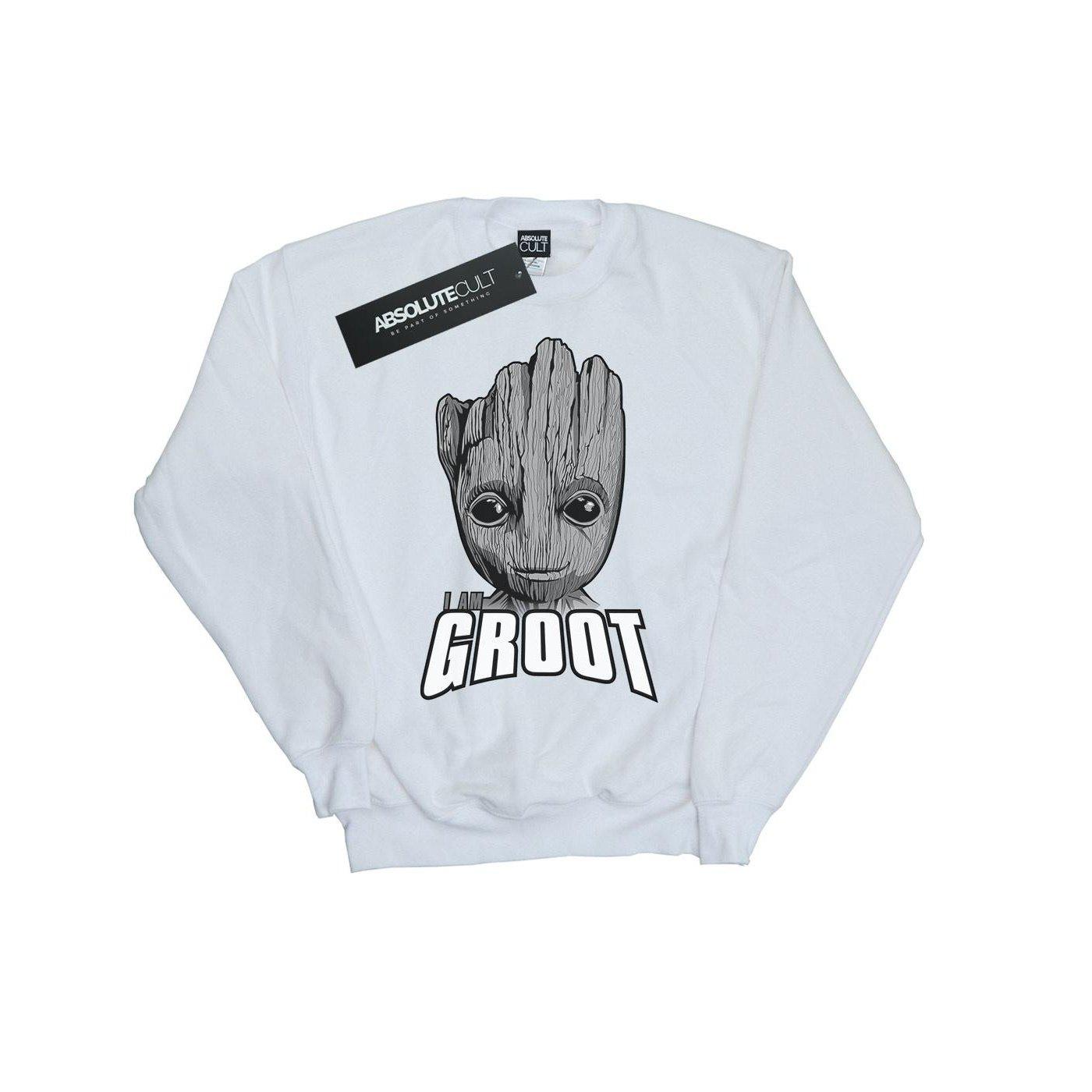 MARVEL Guardians Of The Galaxy Sweatshirt
