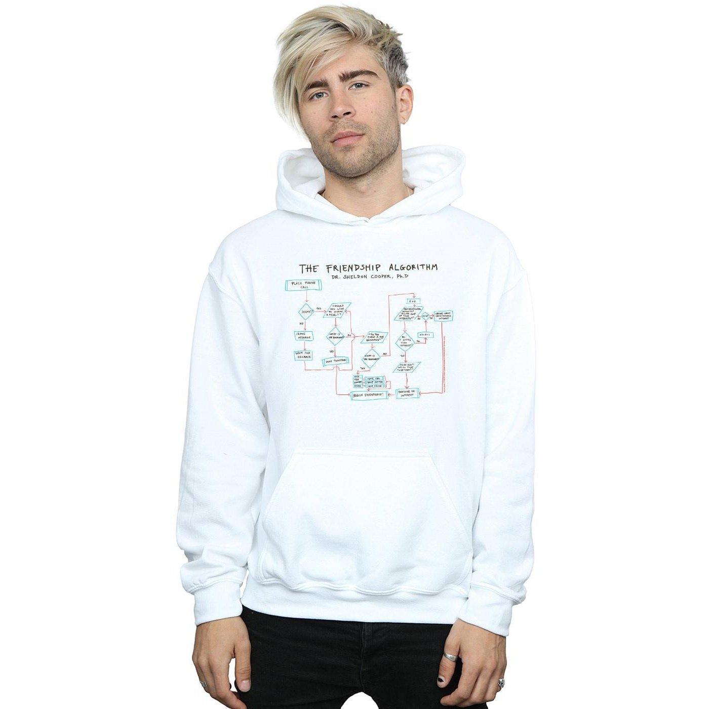 The Big Bang Theory Friendship Algorithm Kapuzenpullover