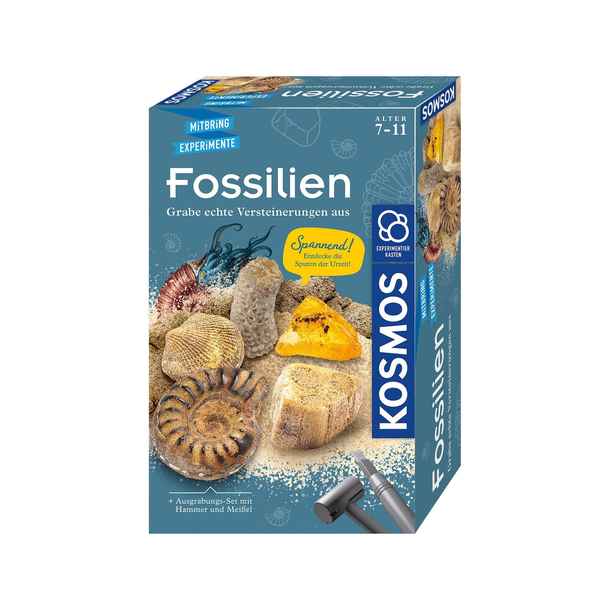 Kosmos Fossilien-Ausgrabungs-Set