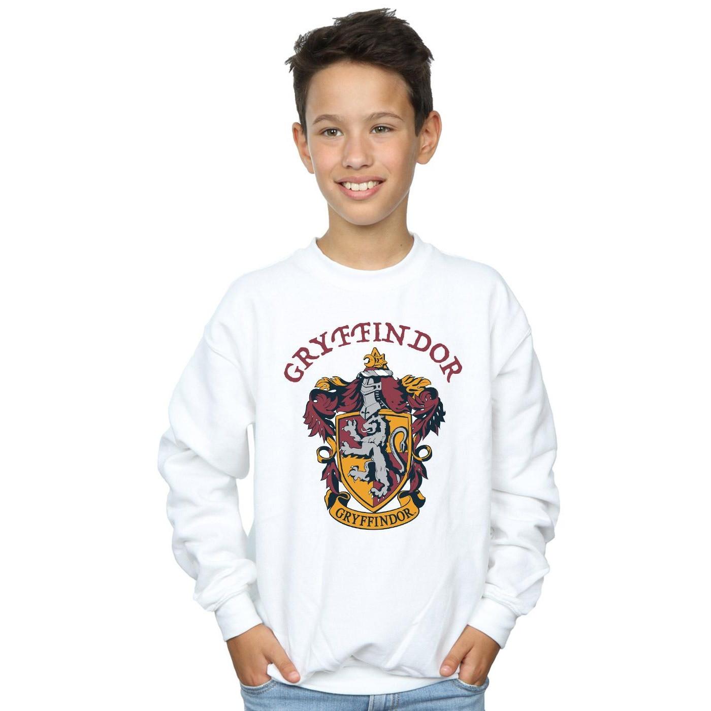 Harry Potter Sweatshirt