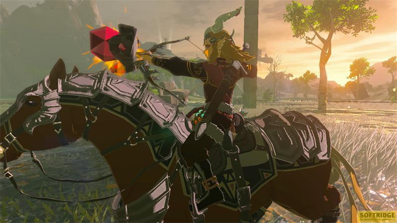 Nintendo Switch The Legend of Zelda: Tears of the Kingdom