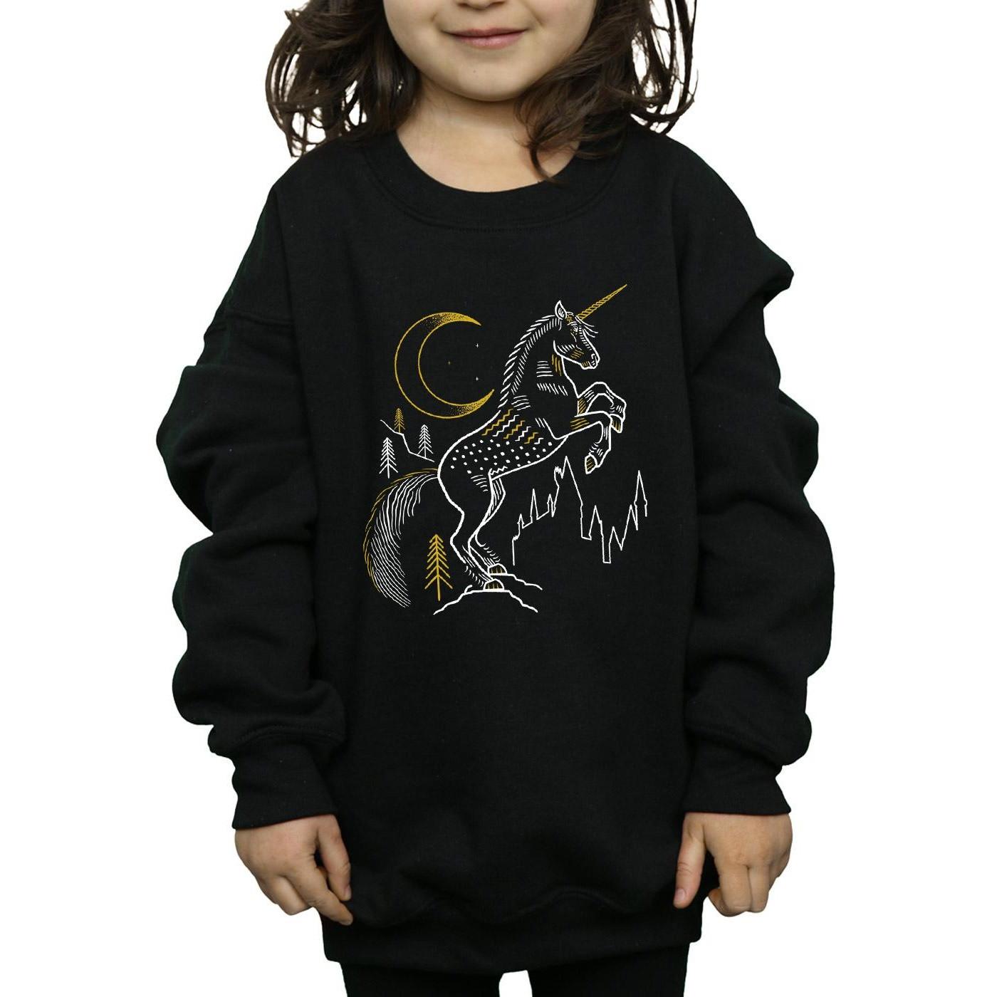 Harry Potter Sweatshirt