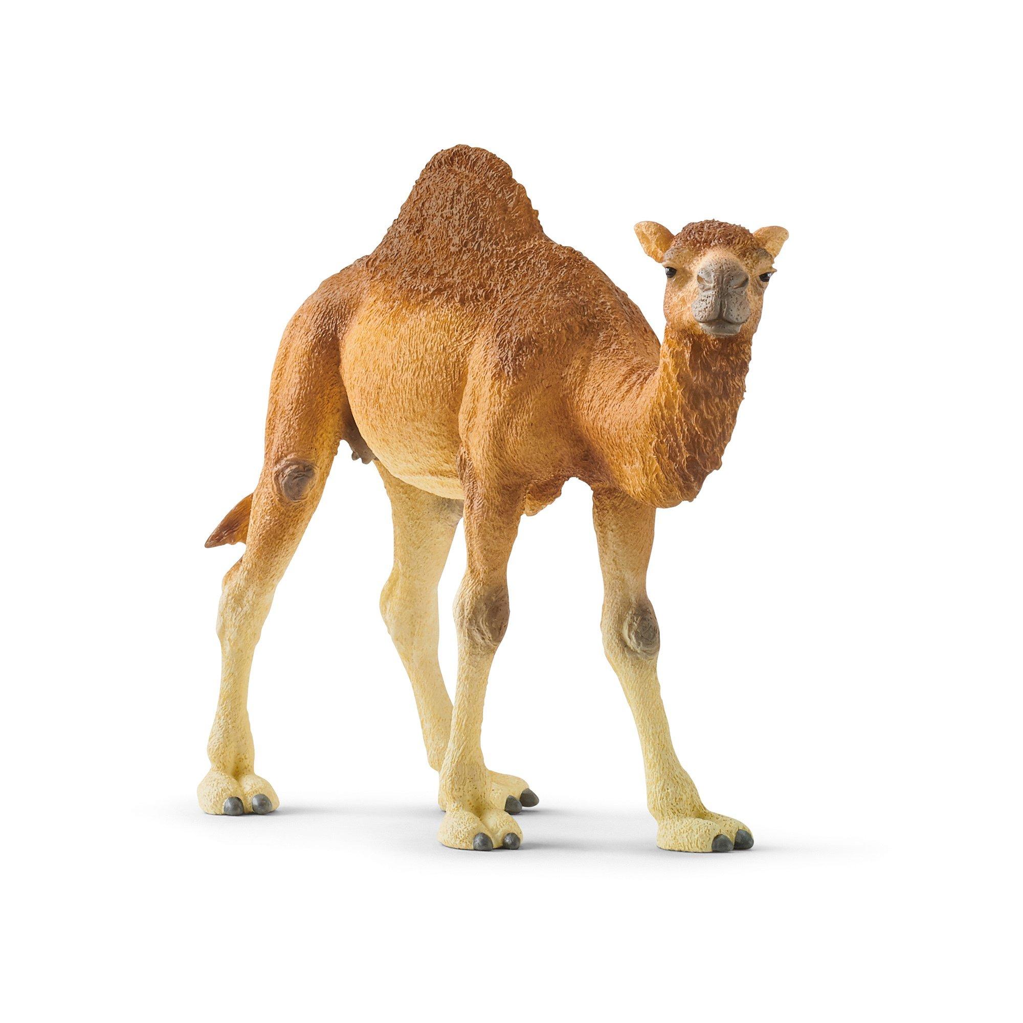 Schleich 14832 Dromedar