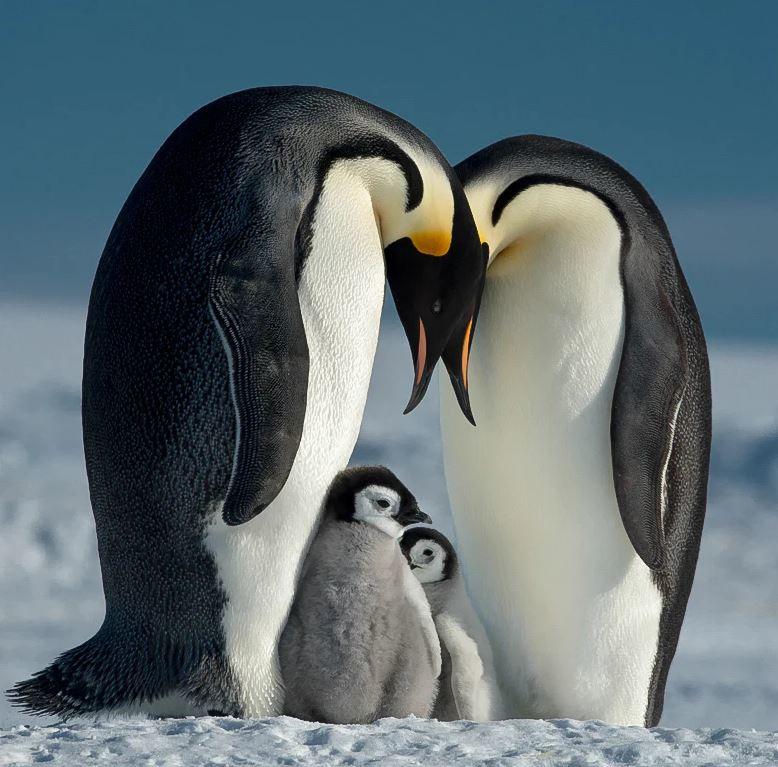 B+W T-Pro 007 Clear MRC nano