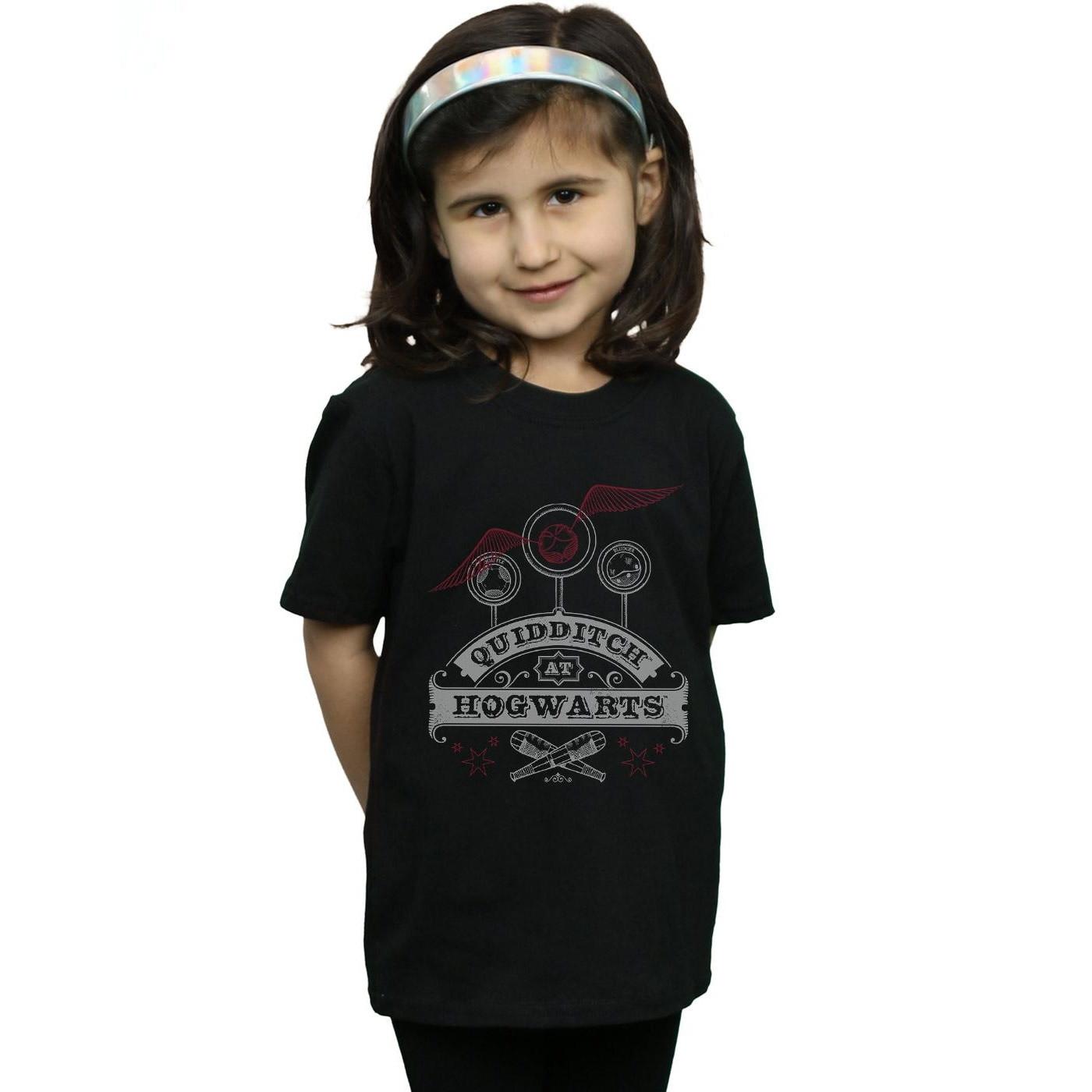 Harry Potter Quidditch At Hogwarts TShirt