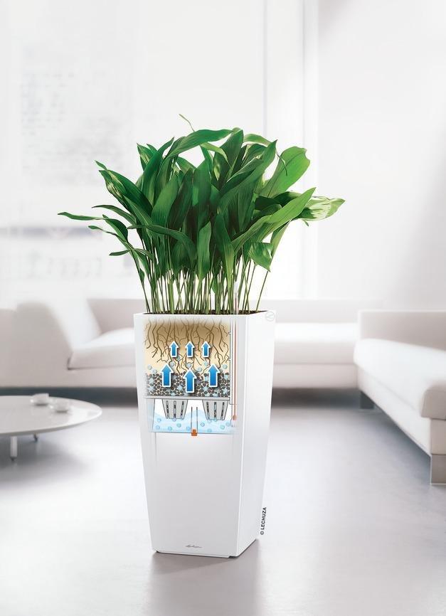 Lechuza Premium Collection CUBICO all-in-one