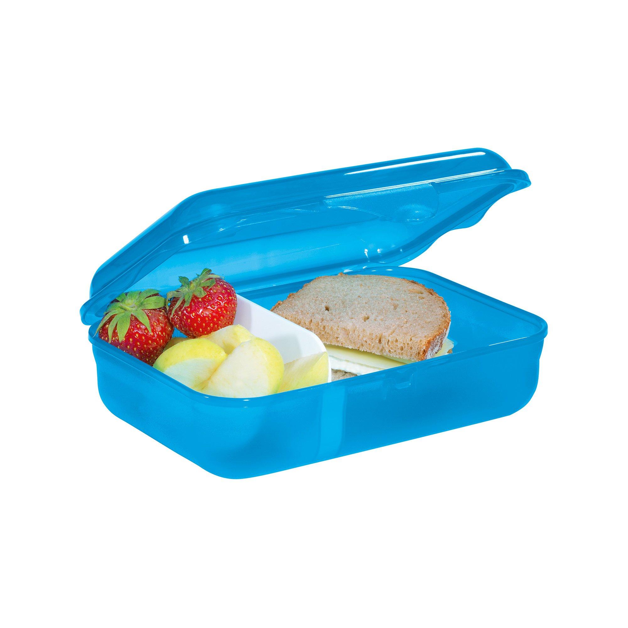rotho Lunchbox Dolphin Pippa
