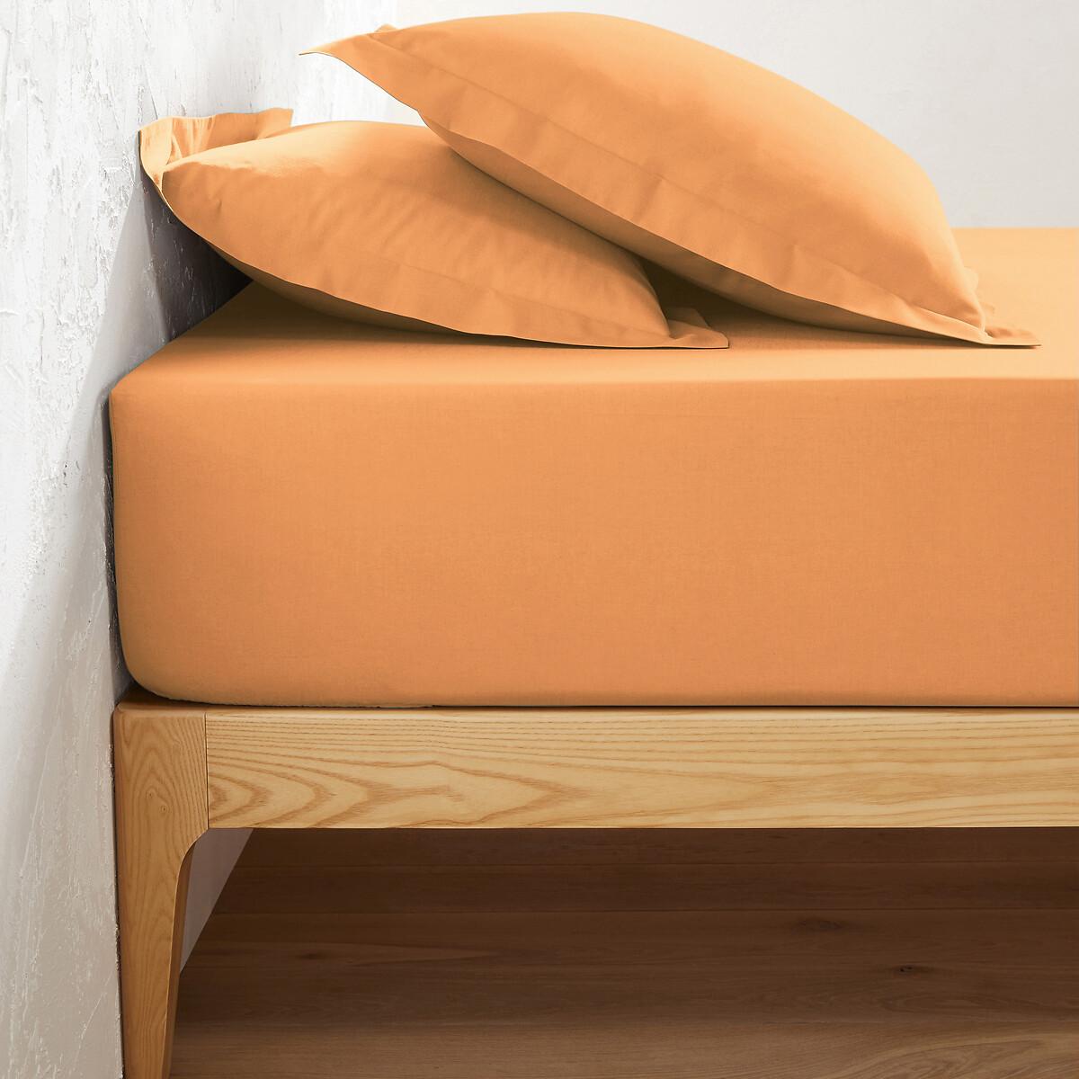 La Redoute Intérieurs Einfarbiges Fixleintuch Scenario aus Baumwolle