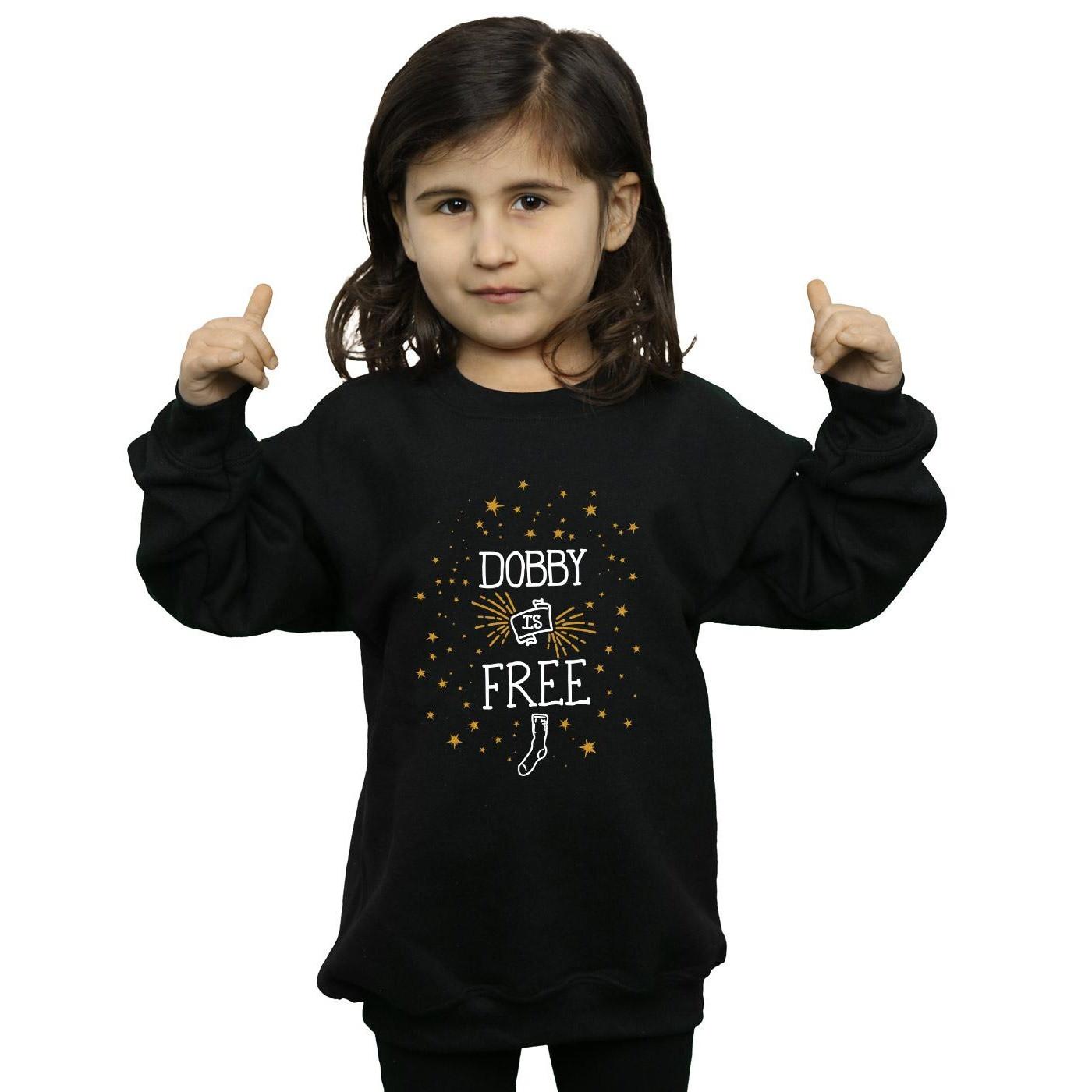 Harry Potter Dobby Is Free Sweatshirt