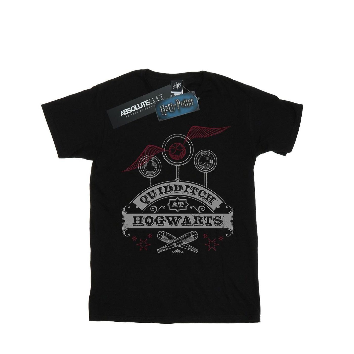Harry Potter Quidditch At Hogwarts TShirt