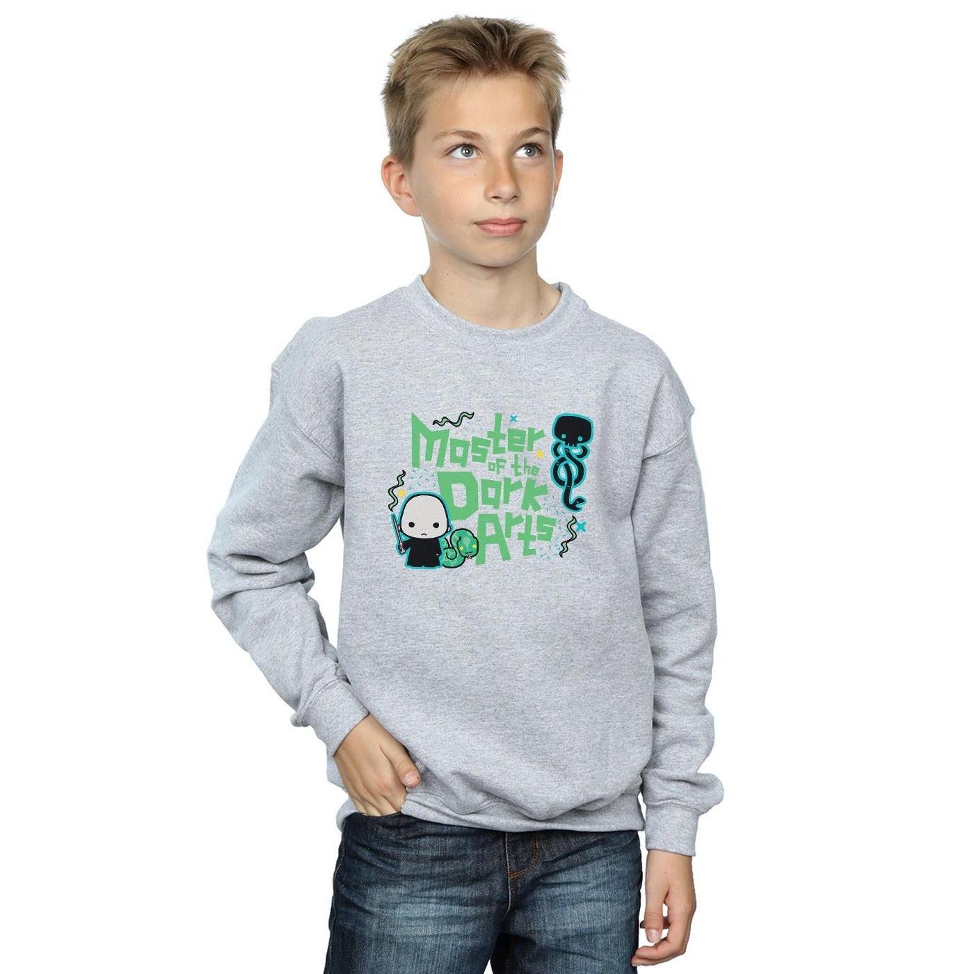Harry Potter Voldemort Dark Arts Junior Sweatshirt