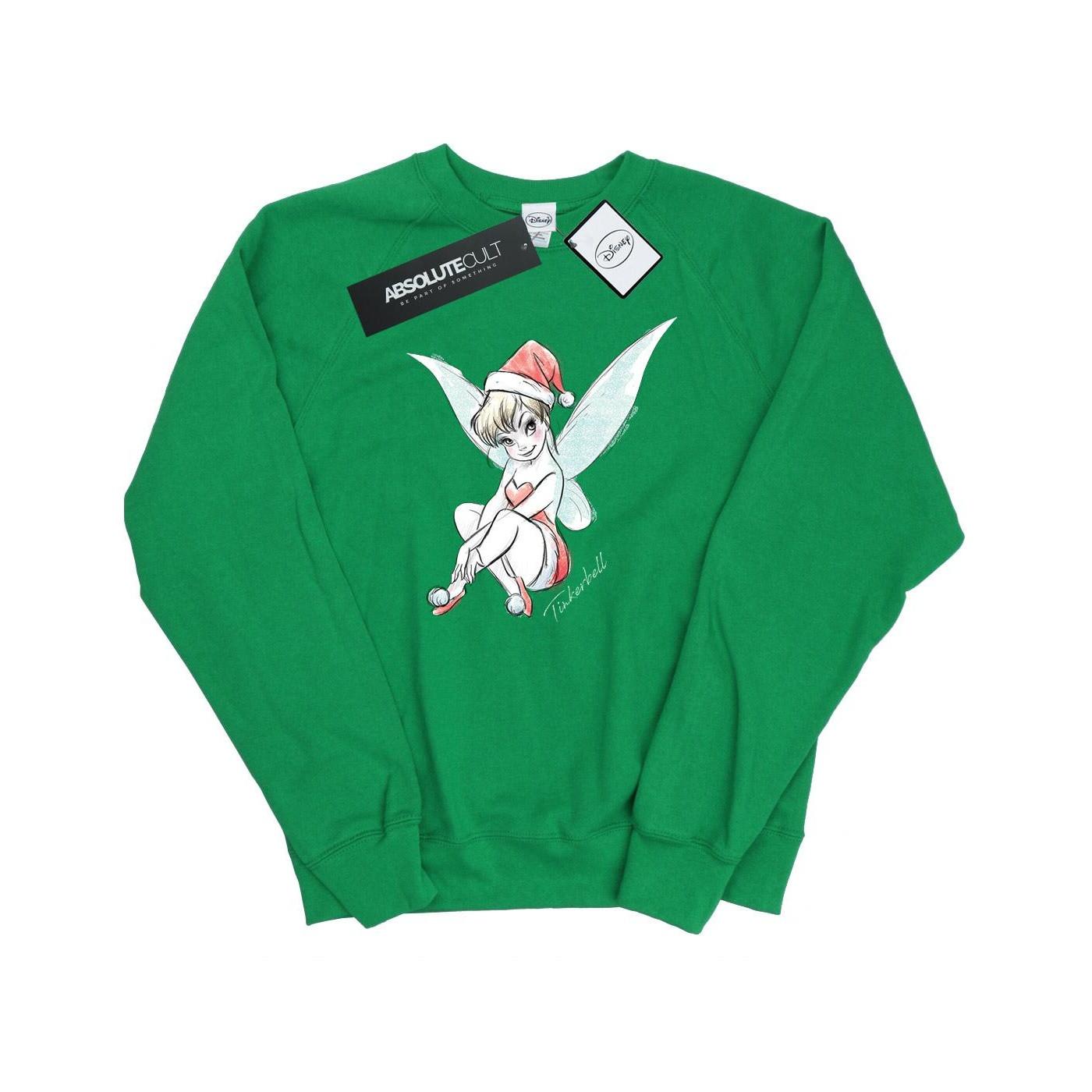 Disney Fairy Sweatshirt
