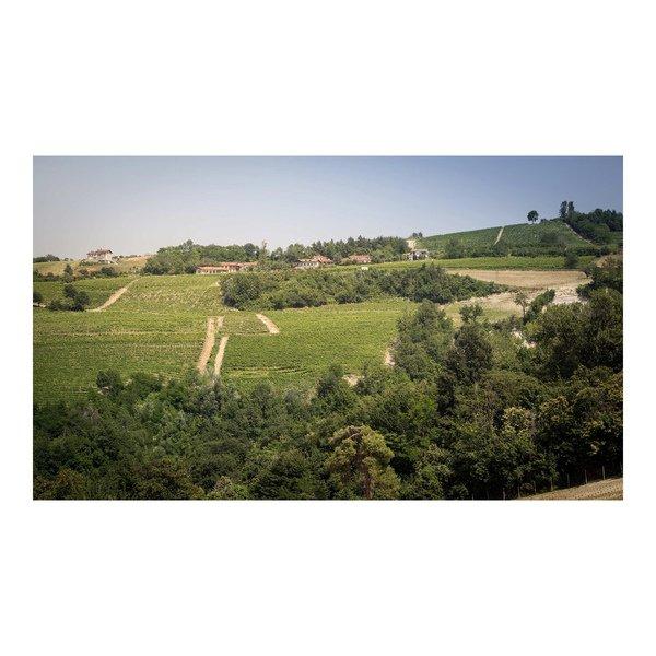 Orlando Abrigo 2014, Barbaresco Rongalio, Barbaresco DOCG