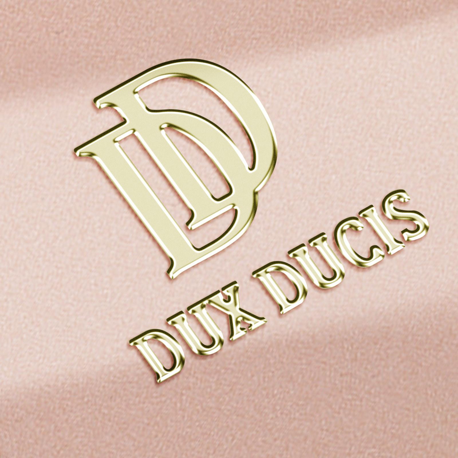 DuxDucis Dux Ducis Hülle Samsung S24 Ultra