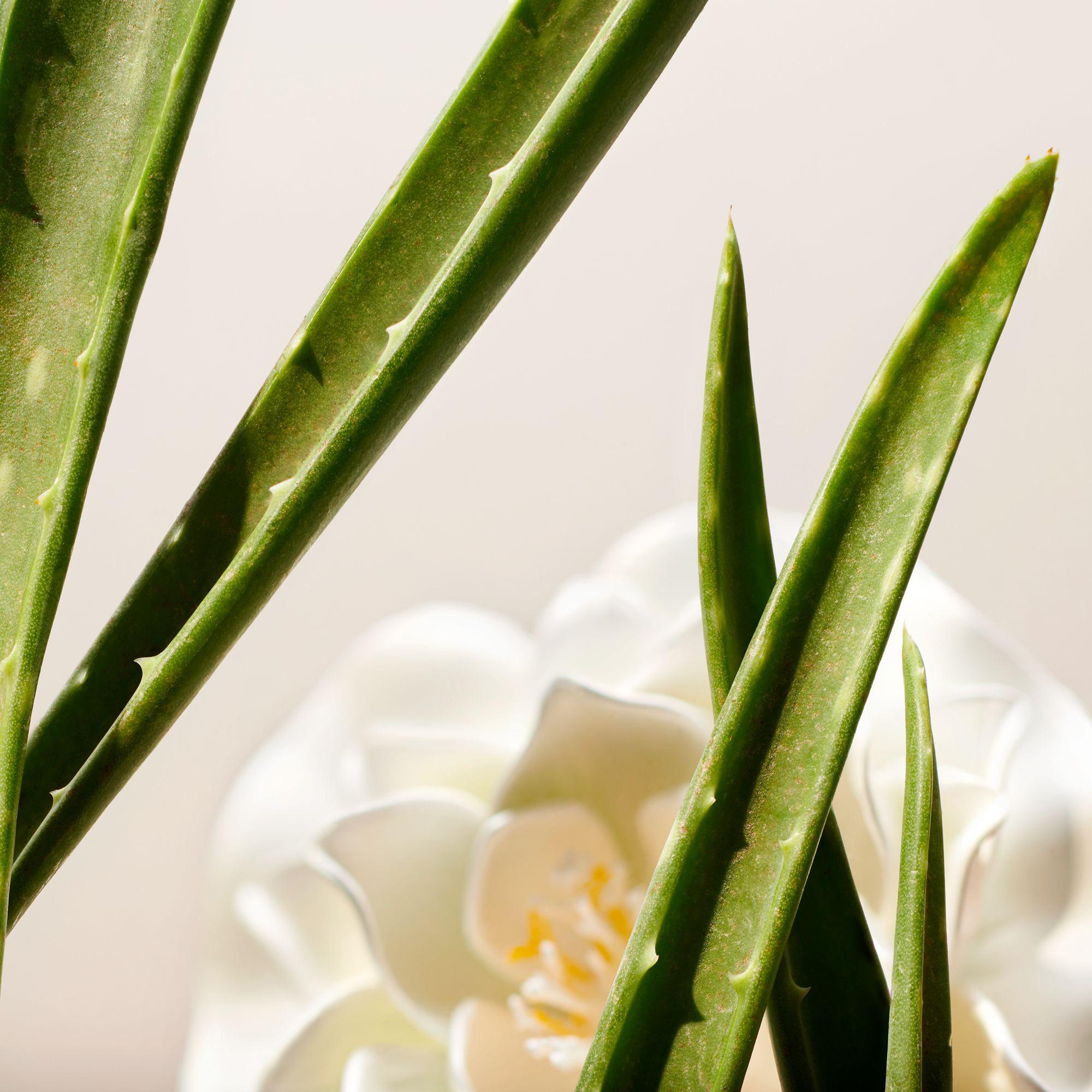 RITUALS The Ritual of Namaste Clarifying Facial Toner