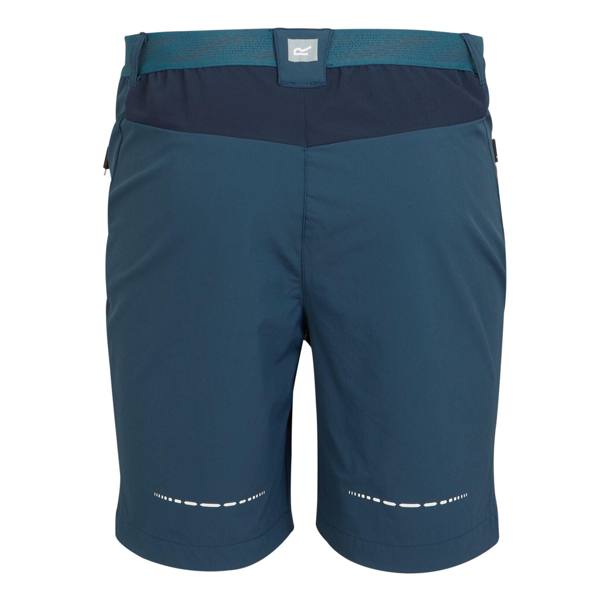 Regatta Mountain II Shorts