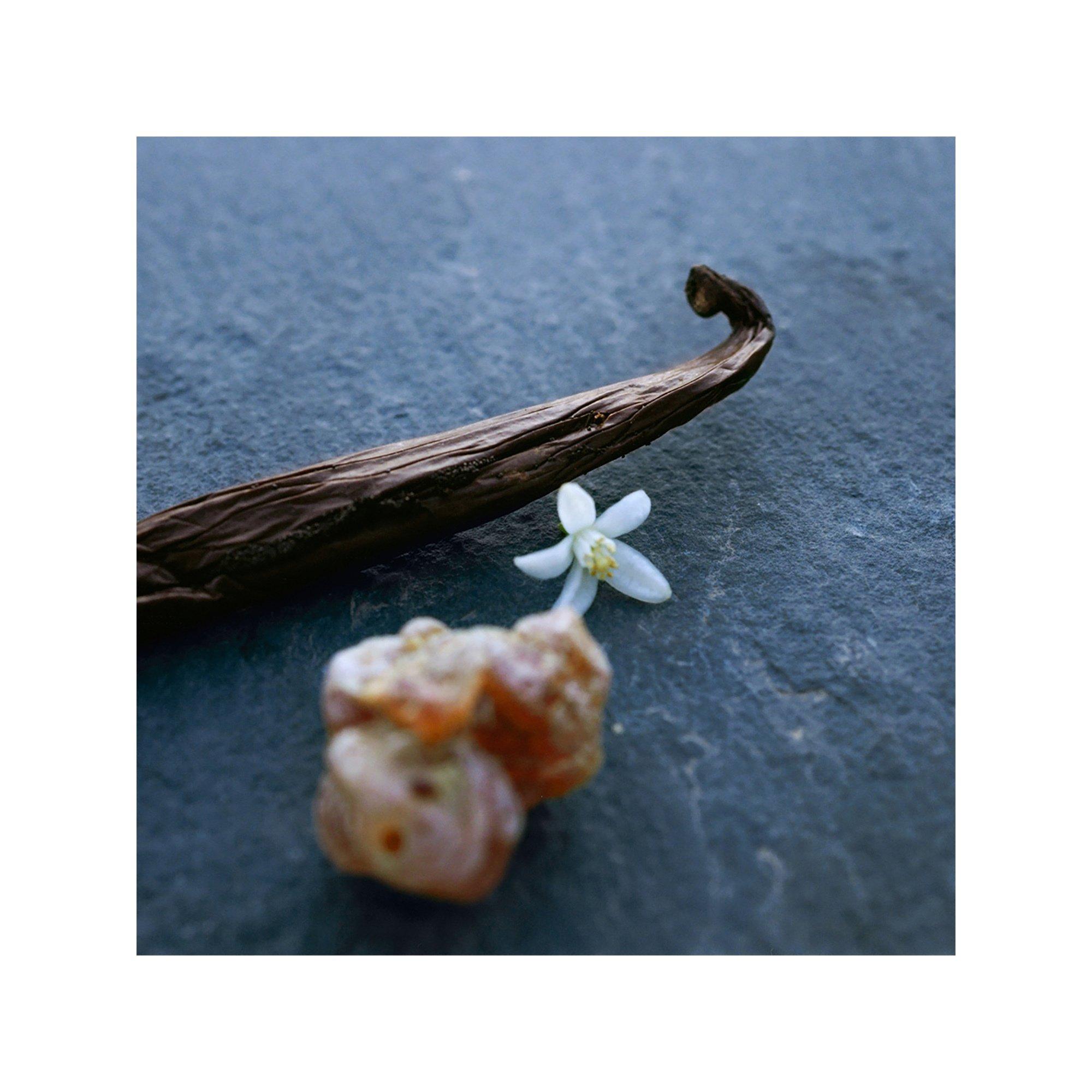 Chloé Nomade Nuit d'Egypt Eau de Parfum