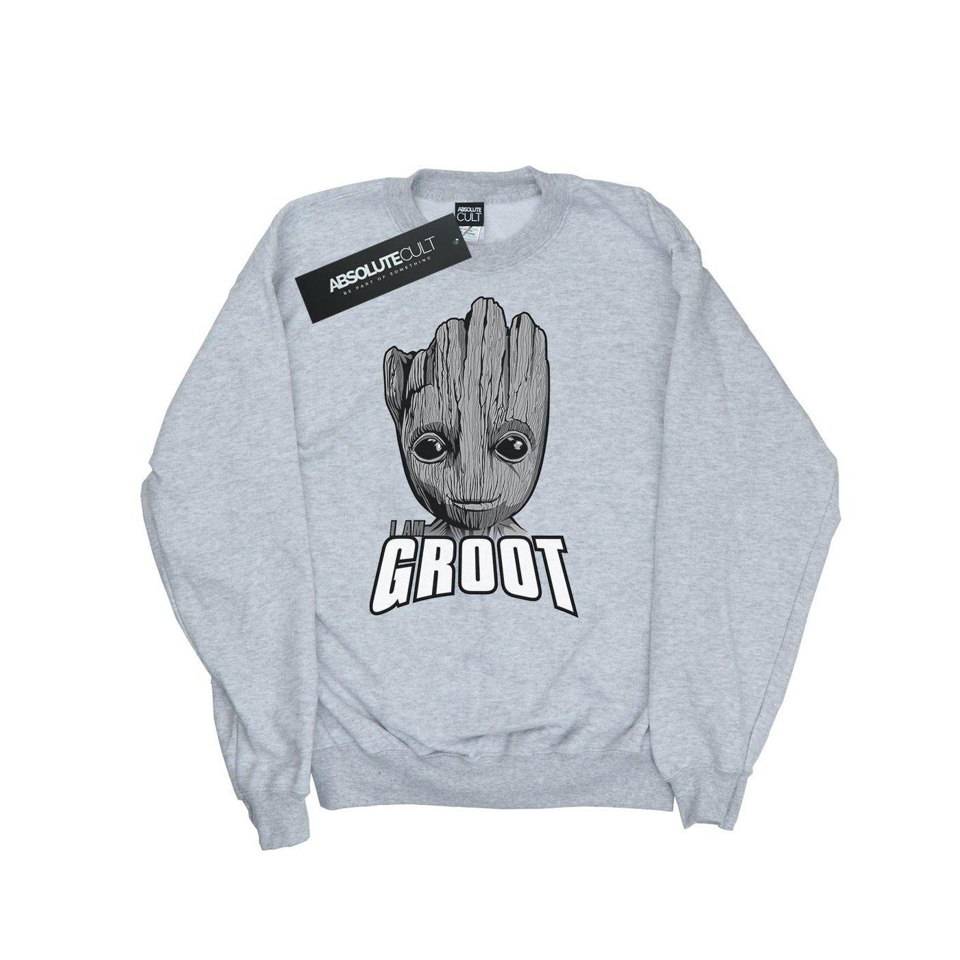 MARVEL Guardians Of The Galaxy Sweatshirt