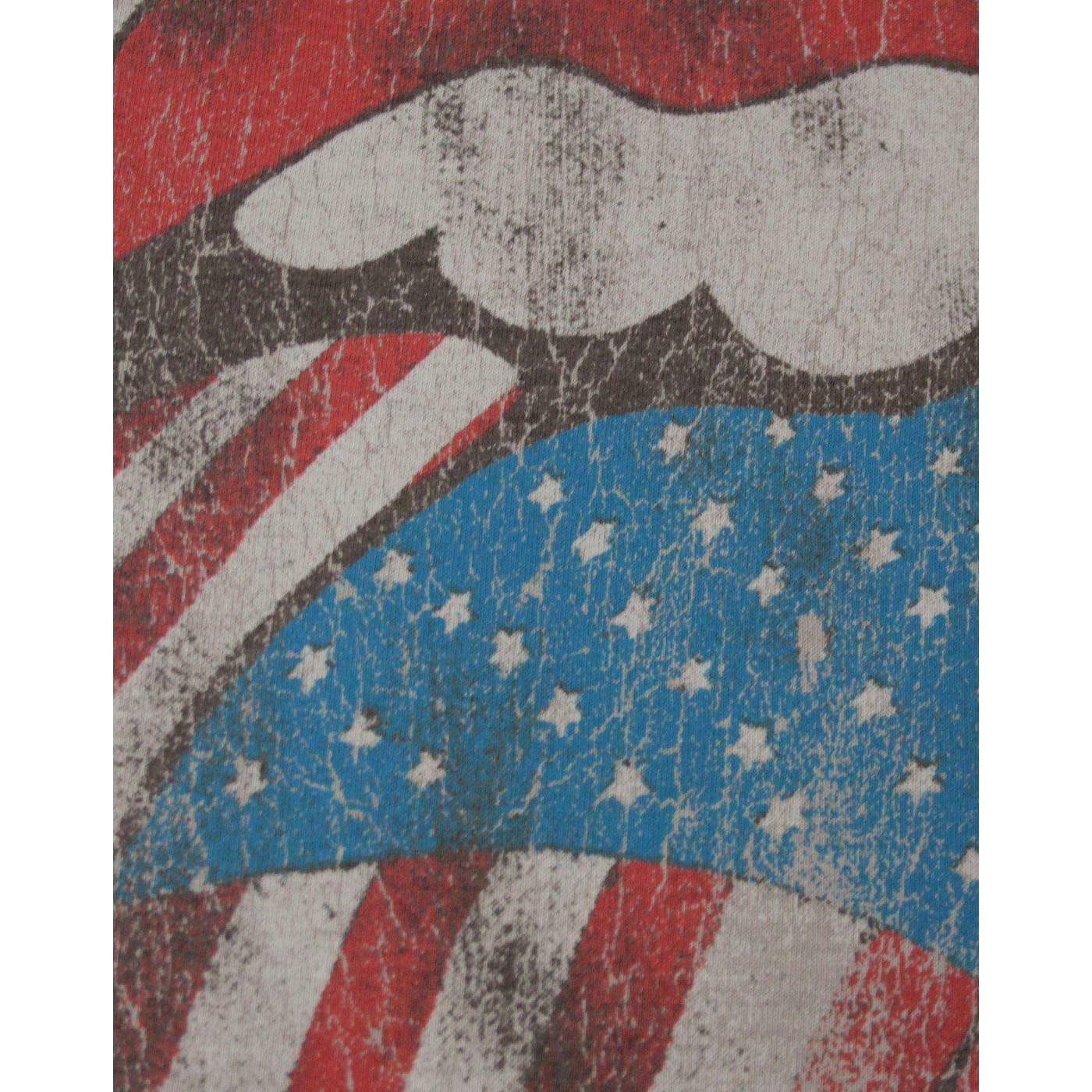 Amplified USA Tour 2 T-Shirt