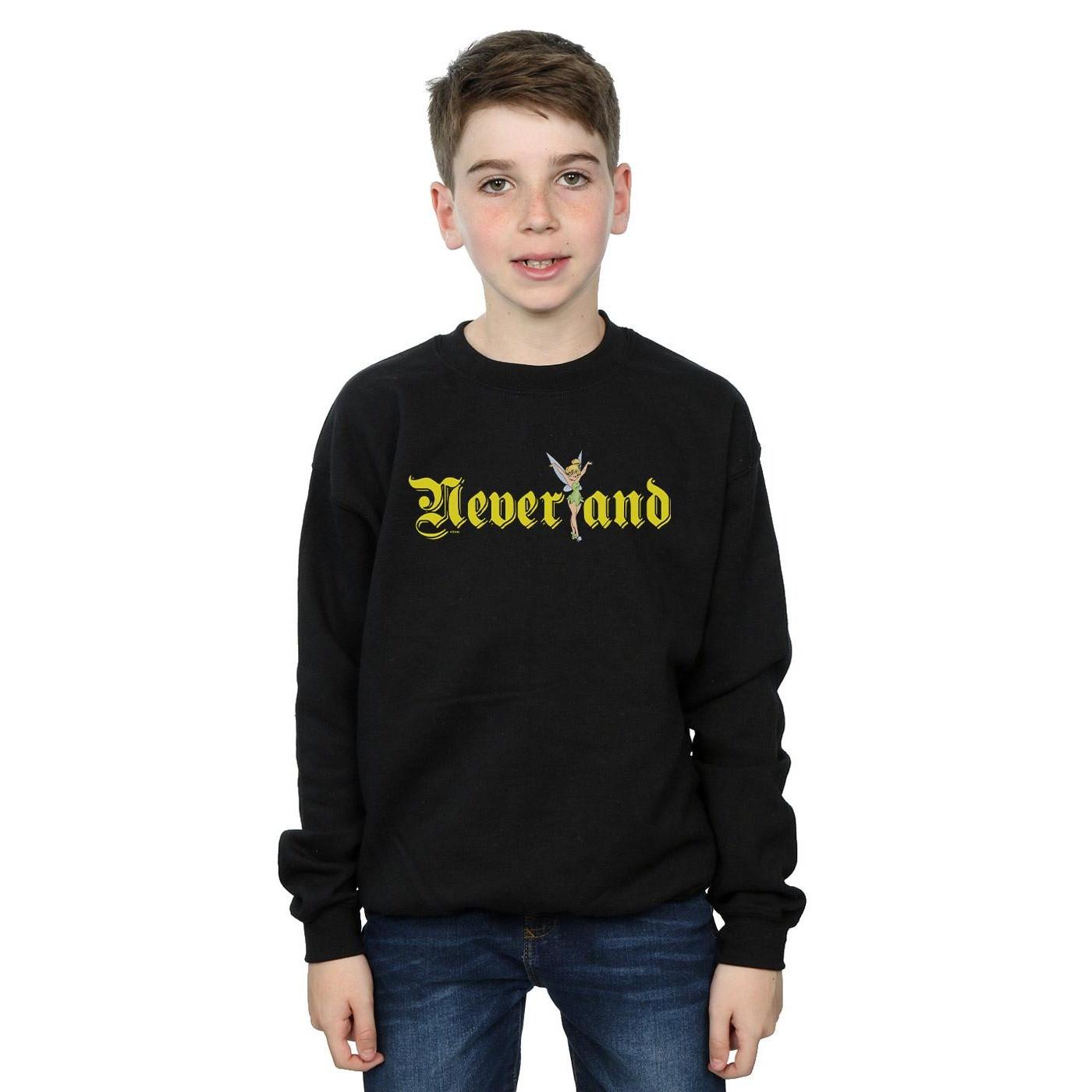 Disney Neverland Sweatshirt