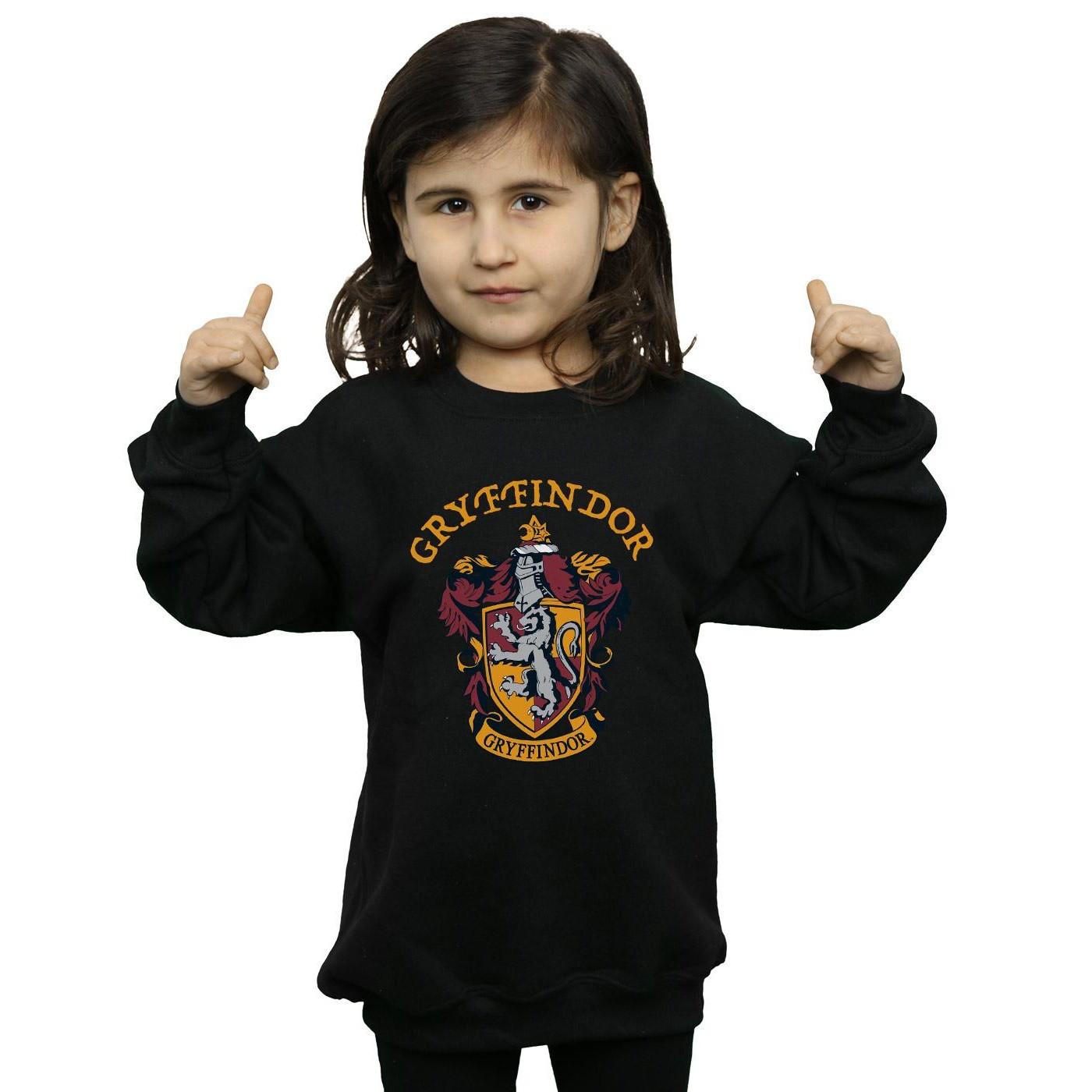 Harry Potter Sweatshirt