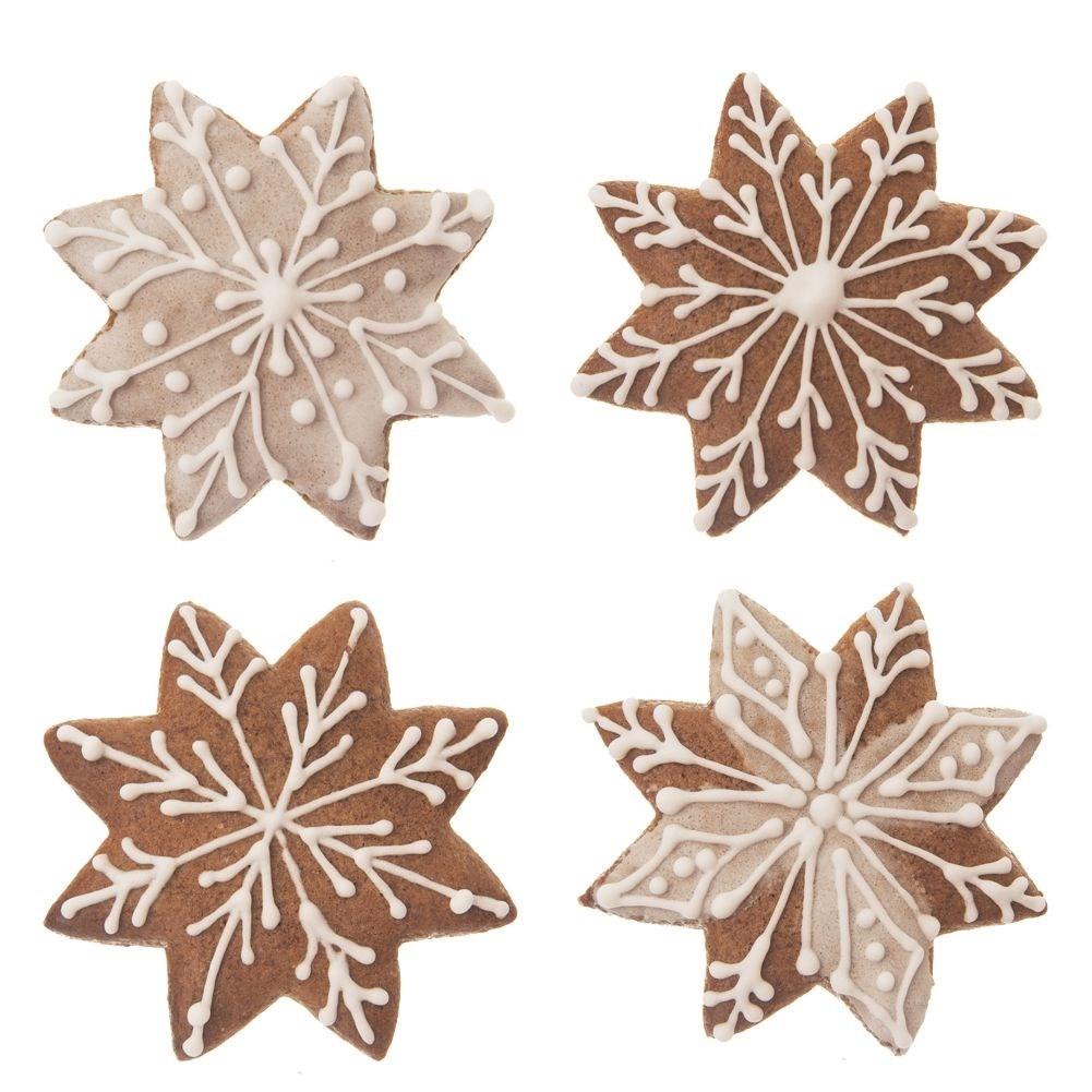 Northio Sternförmige Keksform aus Edelstahl für perfekte Lebkuchen