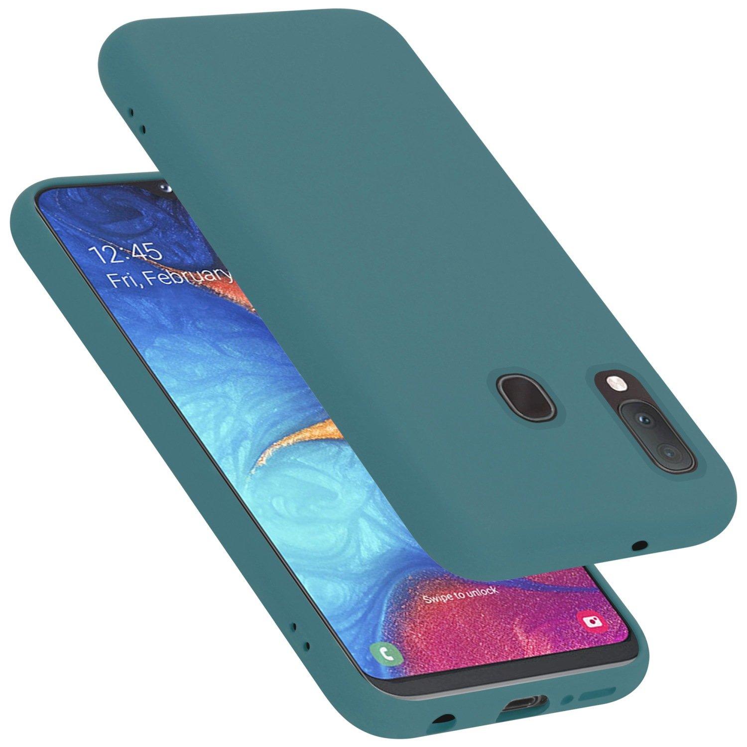 Cadorabo Hülle für Samsung Galaxy A10e / A20e TPU Silikon Liquid