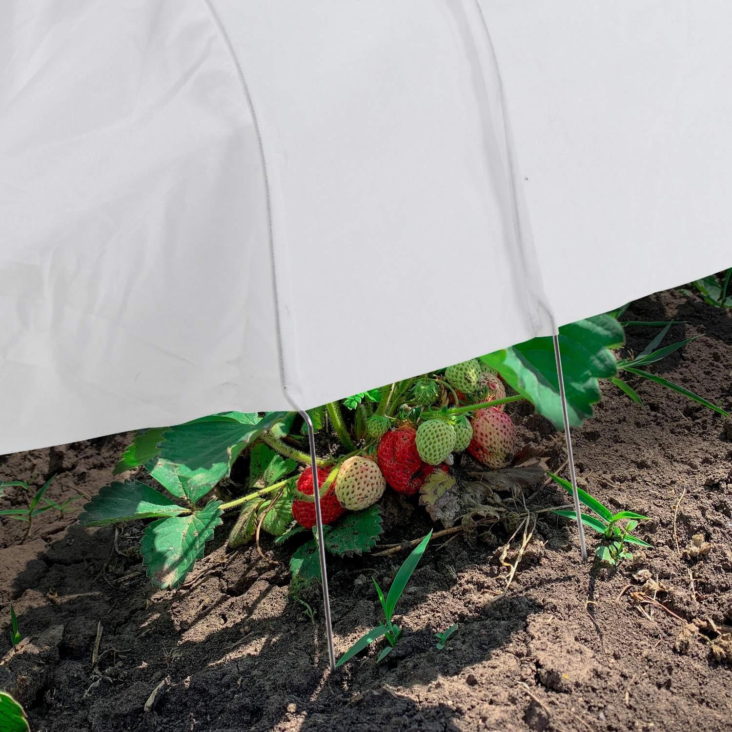 B2X Pflanztunnel aus Vlies 5 m 2er Set