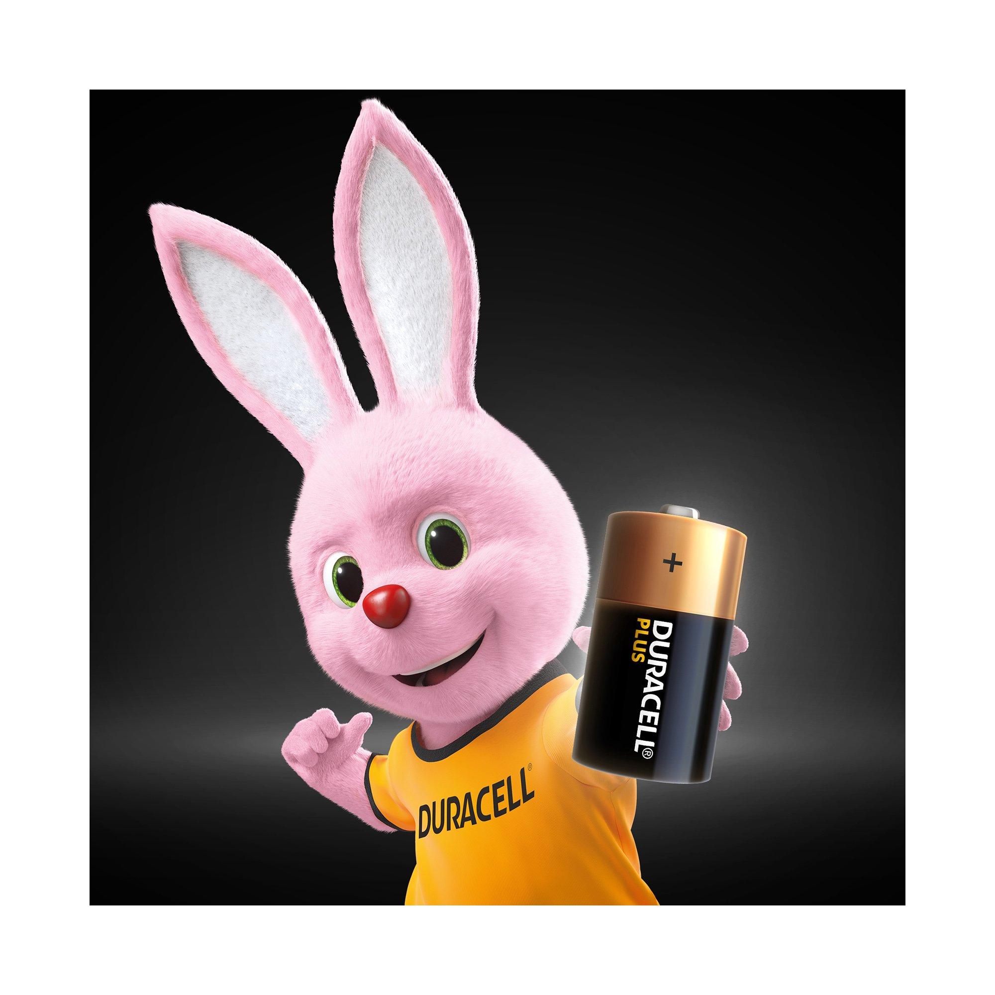 DURACELL PLUS Alkaline-Bat.,2Stk