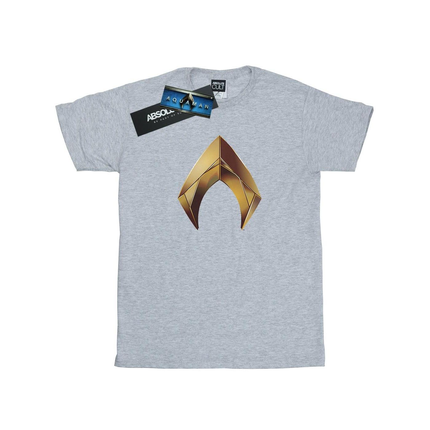 DC COMICS Aquaman Logo T-Shirt