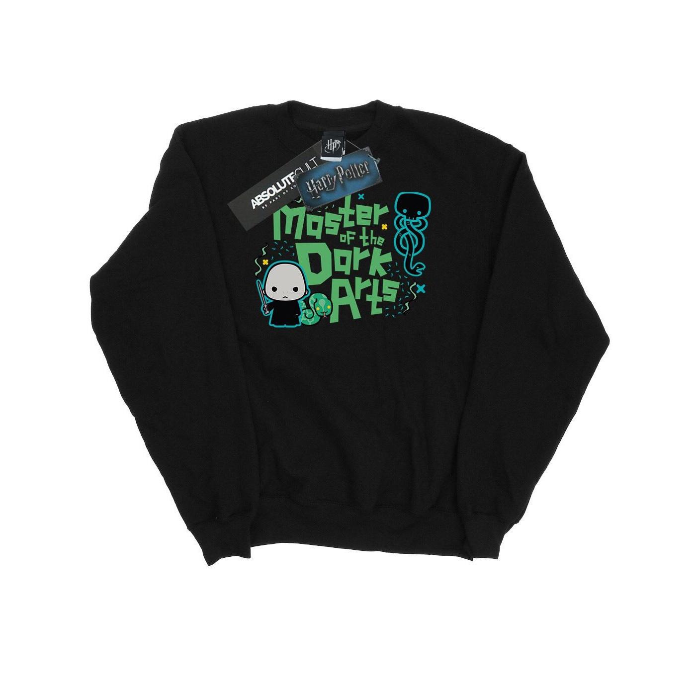 Harry Potter Voldemort Dark Arts Junior Sweatshirt